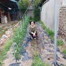 농협이용소 이미지