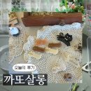 예쁜머리만들기 | [제주] 구좌 아기자기한 고양이 소품샵 &#39;까또살롱&#39;, 말젯문 웨이팅하며 비즈화분 만들기한 후기