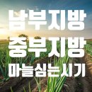 중부농업협동조합 | 마늘심는시기! 남부지방 중부지방 마늘심기 주의사항
