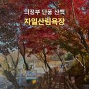 의정부 단풍 명소 : 자일산림욕장 가을 산책 가볼만한곳