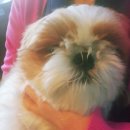 베리떼 동물병원 이미지