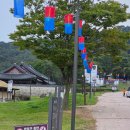 청사초롱 이미지