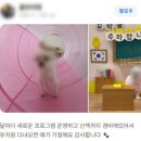 솔유치원 | [경기] 동탄애견호텔 강아지유치원 수원영통 오산 , 마인드몽 본점