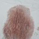 나의 동물메디컬 센터 이미지