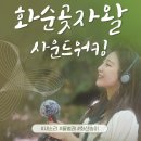 화순곶자왈 | 제주 안덕면 화순곶자왈 '사운드워킹' 제주숲체험 추천