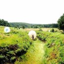 빅볼랜드 이미지