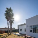 제주사계 이미지