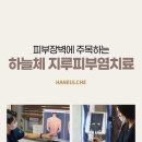 정안탕 네이버블로그