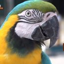 금강2농장 이미지