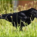 파란환경 이미지