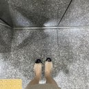 벨라리본(BELLA RIBBON) 네이버블로그