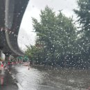 머슬큐어 | 삼계pt 머슬큐어 트레이너 NASM cpt 합격 후기