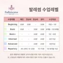 [합정역 발레] 발레썸 무용학원 : 베이직 수업 후기 (합정 성인발레, 마포구 성인발레, 합정 취미발레...