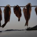 천사 행정사 사무소 이미지