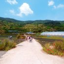 라벤더포차 이미지