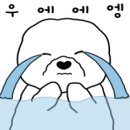 정원 컴퍼니 이미지