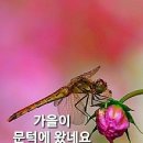 경기방 출석부 (8월 27일 화요일) 이미지