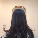 블랑코헤어 - 관악구 남현길 3 | 블랑코헤어