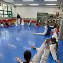 송천경희대태권도 이미지