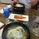 산양산삼 이미지