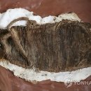 짚신과나막신 - 도봉구 도당로 65 | 짚신과나막신