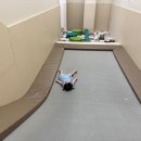 꼬마대통령충남 | 서산 예천동 키즈카페 ‘꼬마대통령’ 방문 후기