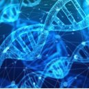 24시안마원 이미지