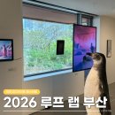 아트벤치 | 2026 루프랩부산 국제 미디어 페스티벌 개최 | 도모헌 전시 후기