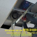 벌곡초등학교 이미지