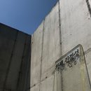 디자인라위 이미지