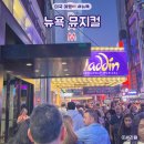 N104 | 뉴욕 뮤지컬 알라딘 후기 티켓 예매 좌석 미국 브로드웨이 뮤지컬 추천