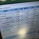 이글우드 | [청도] 대구 근교 풀빌라 펜션 이글우드 히든 코티지 후기