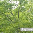 배동환변호사법률사무소 이미지