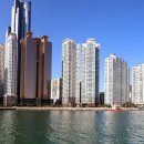 대구24시 야간응급연합동물병원 이미지