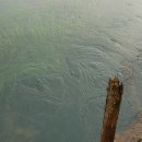 하늘샘마을 이미지