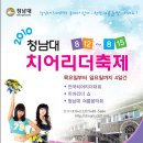 2010 청남대치어리더축제 개최(8.12~8.15) 이미지