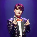미스터팬 이미지
