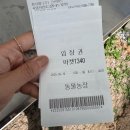 하이원 하늘아래 동물농장 | 아이와 함께 하이원리조트 곤돌라타고 구름아래 동물농장 방문 후기 추천