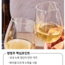 [술리뷰8]청명주 _ 누룩명인 한영석 약주 와인 못지 않는 우리술 전통주