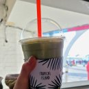 풍선넝쿨COFFEE