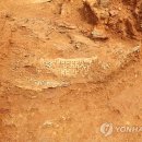 화성신발 이미지