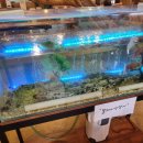 키토산우이산장 | 우이동 맛집 키토산우이산장 솔직 리뷰 북한산 맛집