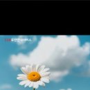 일일사 이미지