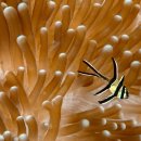 서귀포교회 이미지