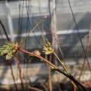 영란농장 이미지