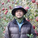 김창진농장 오마이뉴스