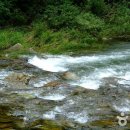 봉화군 종합관광안내소 이미지