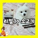 초이스웰 | 강아지 피부도 좋아지고 관절도? '웰초이스 리얼 70', 12살된 노령견 직접 먹여본 후기!