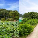 빛으로병원 이미지