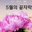 아침이슬 이미지